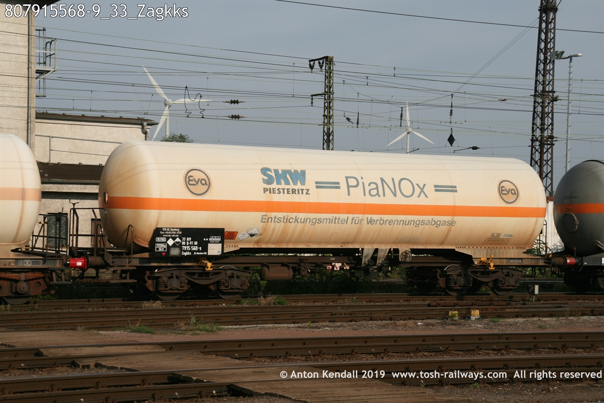 807915568-9_33_Zagkks.JPG